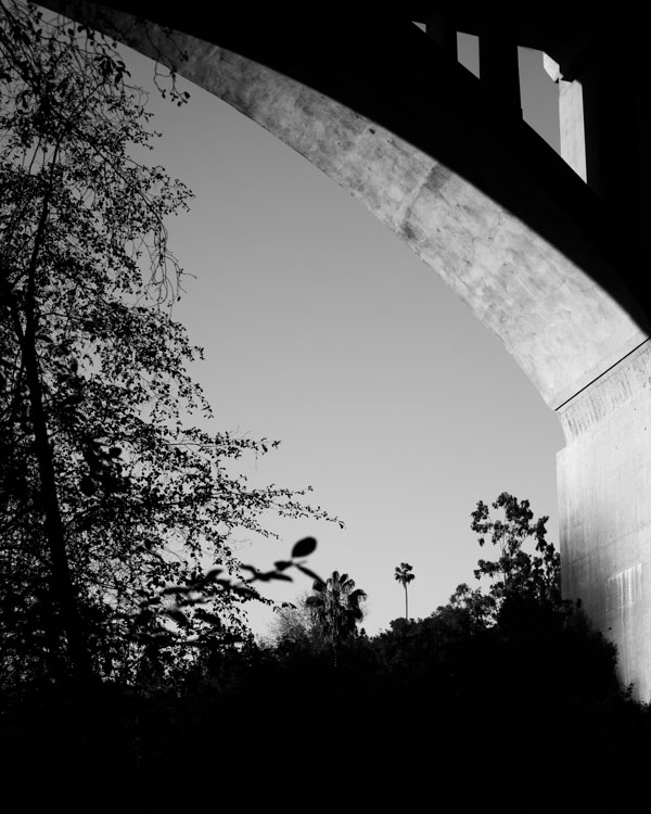 Two Bridges - Arch and Palm Tree